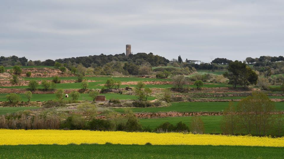 19.4.2022 Vista de la Manresana  Els Prats de Rei -  Ramon Sunyer