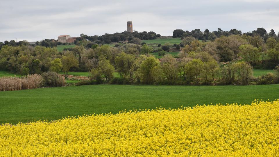 19 de Abril de 2022 Vista de la Manresana  Els Prats de Rei -  Ramon Sunyer