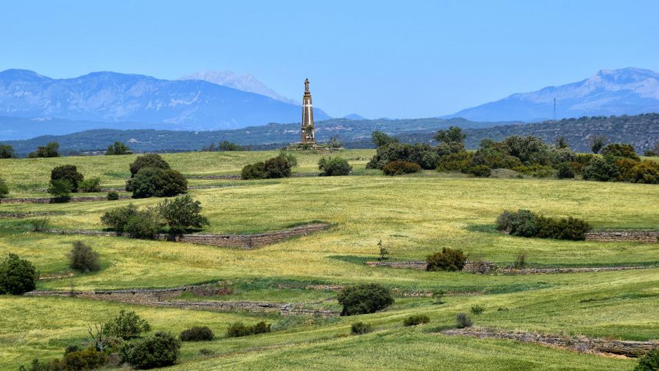 12 de Maig de 2019 Sagrat Cor  Selvanera -  Autor