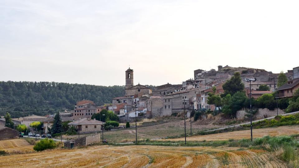 11.8.2018 vista general  Els Omells de na Gaia -  Ramon Sunyer