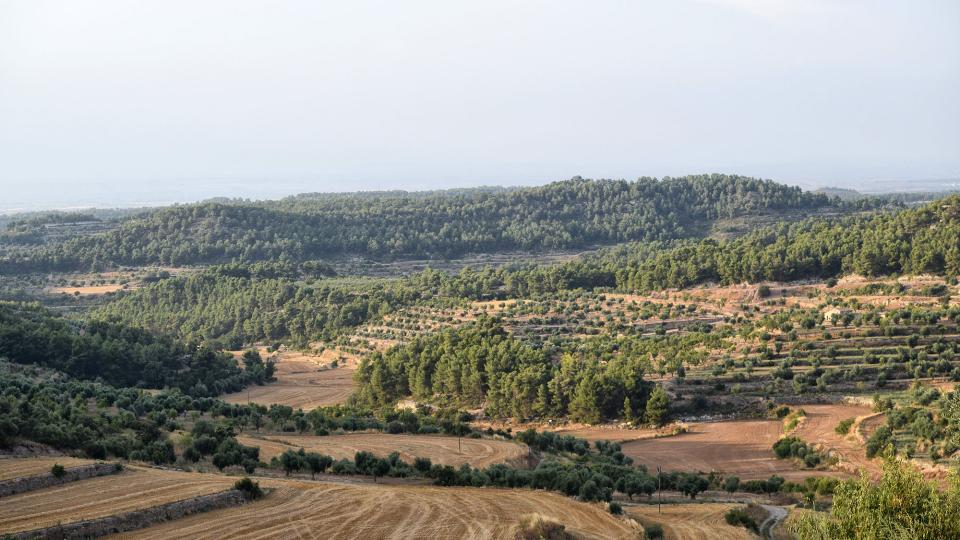 11.8.2018 paisatge  Els Omells de na Gaia -  Ramon Sunyer