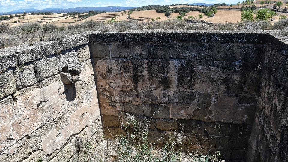 24.6.2022 Bassa del Condomines  Guarda-si-venes -  Ramon Sunyer