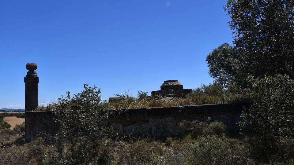 24.6.2022 Creu del Condomines  Guarda-si-venes -  Ramon Sunyer