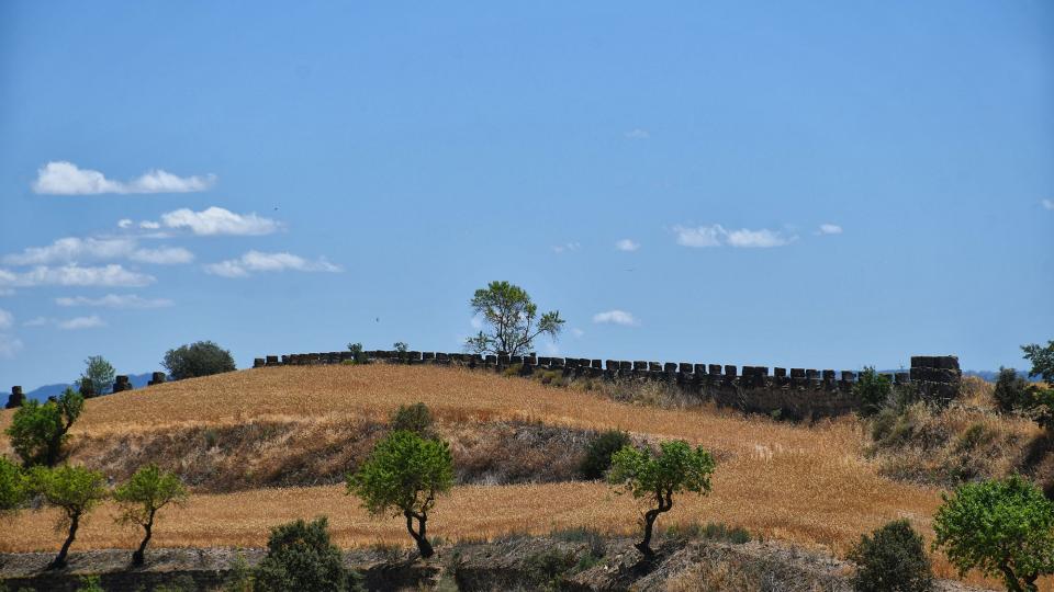 24.6.2022 Parets del Condomines  Guarda-si-venes -  Ramon Sunyer