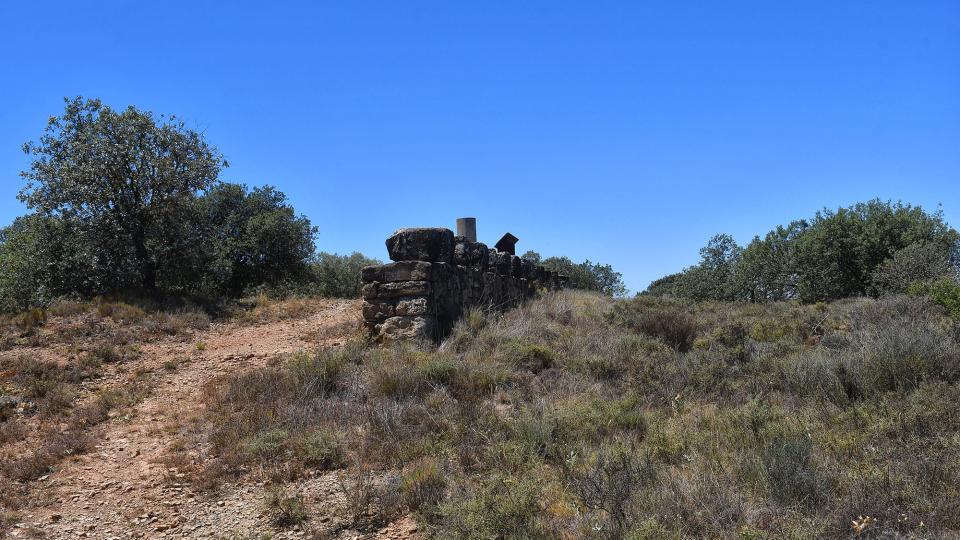 24.6.2022 Mirador del Condomines  Guarda-si-venes -  Ramon Sunyer