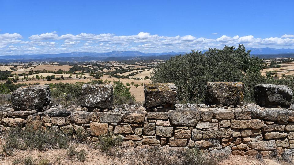 24.6.2022 Mirador del Condomines  Guarda-si-venes -  Ramon Sunyer