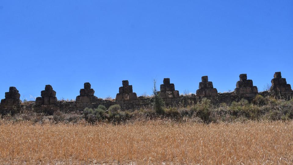 24.6.2022 Parets del Condomines  Guarda-si-venes -  Ramon Sunyer