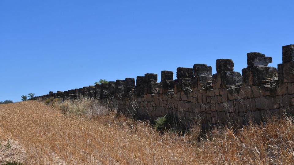 24.6.2022 Parets del Condomines  Guarda-si-venes -  Ramon Sunyer