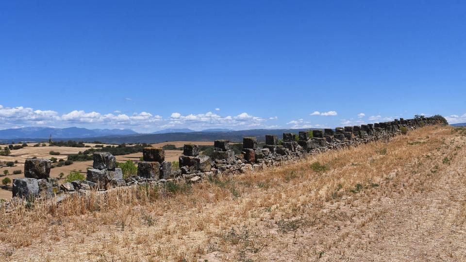 24.6.2022 Parets del Condomines  Guarda-si-venes -  Ramon Sunyer