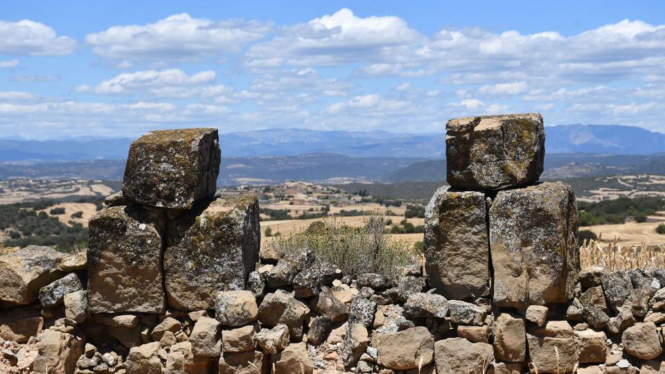 24.6.2022 Parets del Condomines  Guarda-si-venes -  Ramon Sunyer