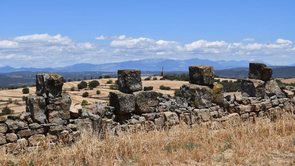 24.6.2022 Parets del Condomines  Guarda-si-venes -  Ramon Sunyer