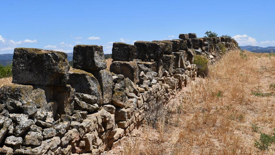 24.6.2022 Parets del Condomines  Guarda-si-venes -  Ramon Sunyer