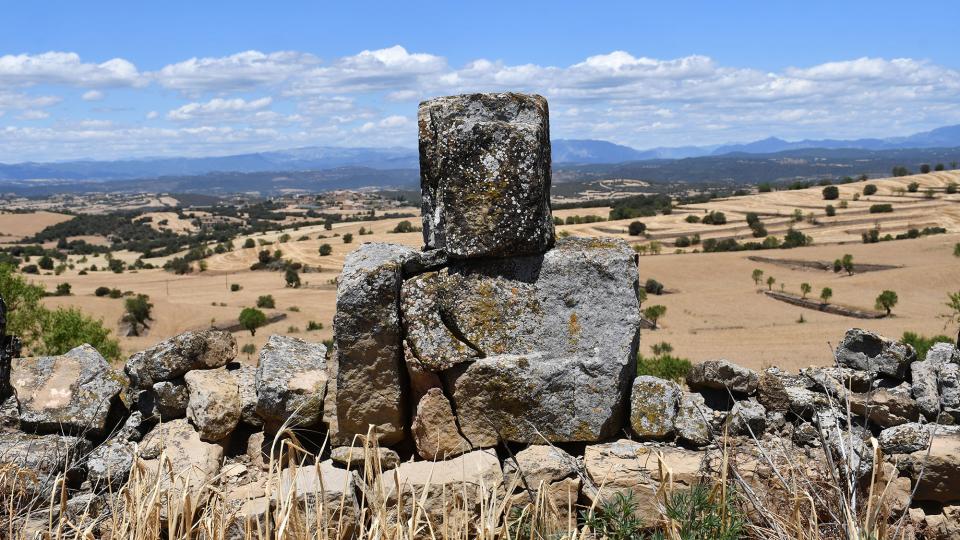 24.6.2022 Parets del Condomines  Guarda-si-venes -  Ramon Sunyer