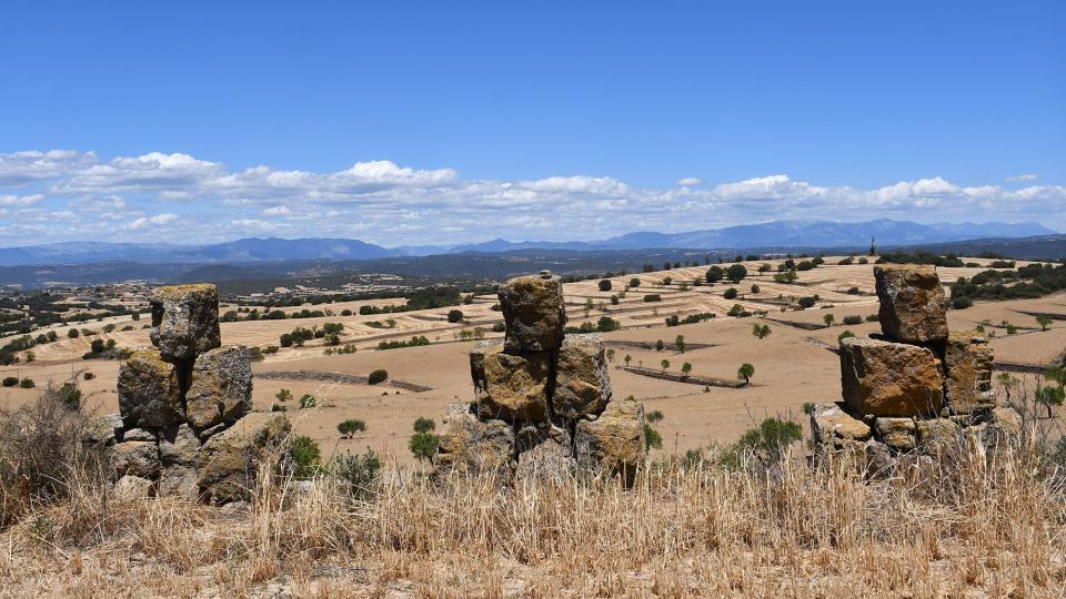 24.6.2022   Guarda-si-venes -  Ramon Sunyer