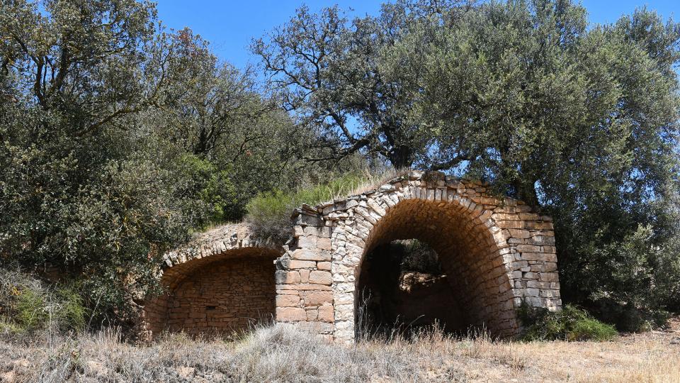 24 de Juliol de 2022 Pletes  Mont-ros -  Ramon Sunyer