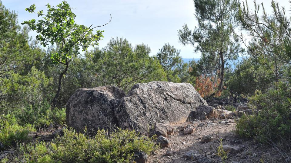 3.6.2017 Dolmen dels Tres Reis  Maçana -  Ramon Sunyer