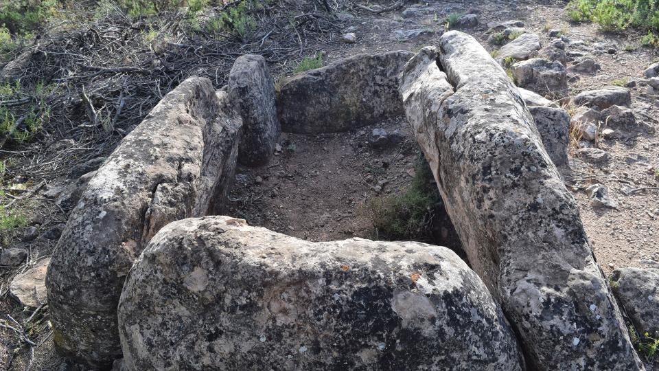 3.6.2017 Dolmen dels Tres Reis  Maçana -  Ramon Sunyer