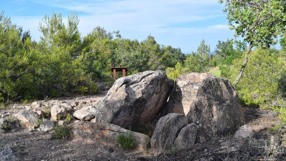 3.6.2017 Dolmen dels Tres Reis  Maçana -  Ramon Sunyer