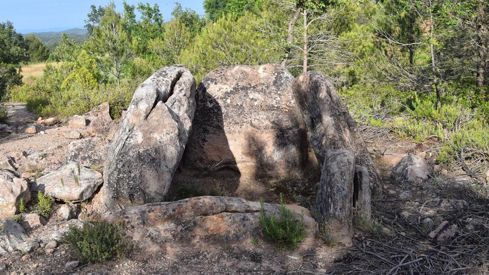 3.6.2017 Dolmen dels Tres Reis  Maçana -  Ramon Sunyer