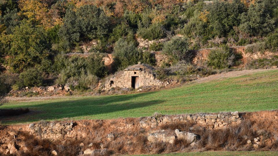 9.12.2022 Cabana del Sargento  L'Aguda -  Ramon Sunyer