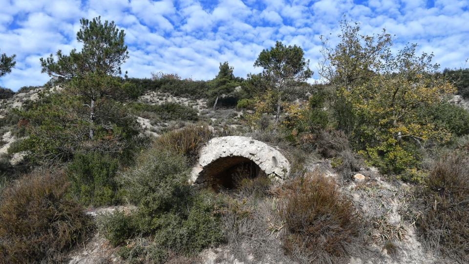 6 de Desembre de 2022 Cabana del Peretó  Torà -  Ramon Sunyer