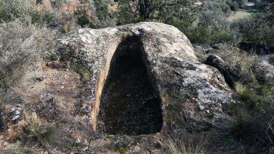 18.12.2022 Necròpoli de Cornudella  Massoteres -  Ramon Sunyer