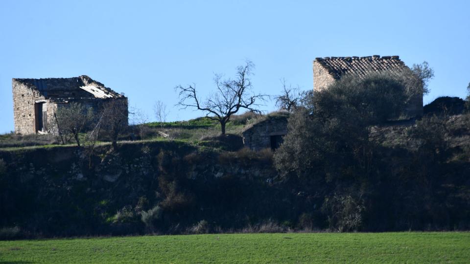 31 de Desembre de 2022 Pallisses i cabana  Granyena de Segarra -  Ramon Sunyer