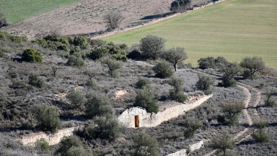 31.12.2022 Cabana de volta  Granyena de Segarra -  Ramon Sunyer