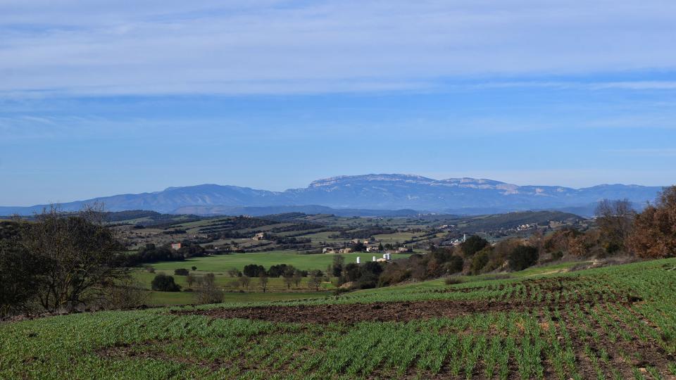 25.12.2022 Paisatge  Palouet -  Ramon Sunyer