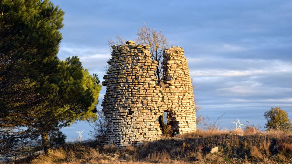 28.1.2017 Molí de vent  Talavera -  Ramon Sunyer