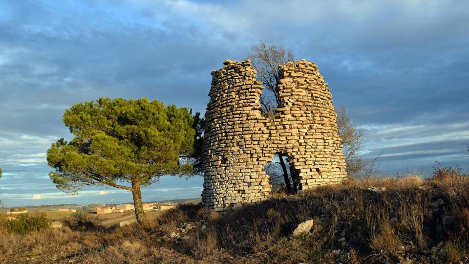 28.1.2017 Molí de vent  Talavera -  Ramon Sunyer