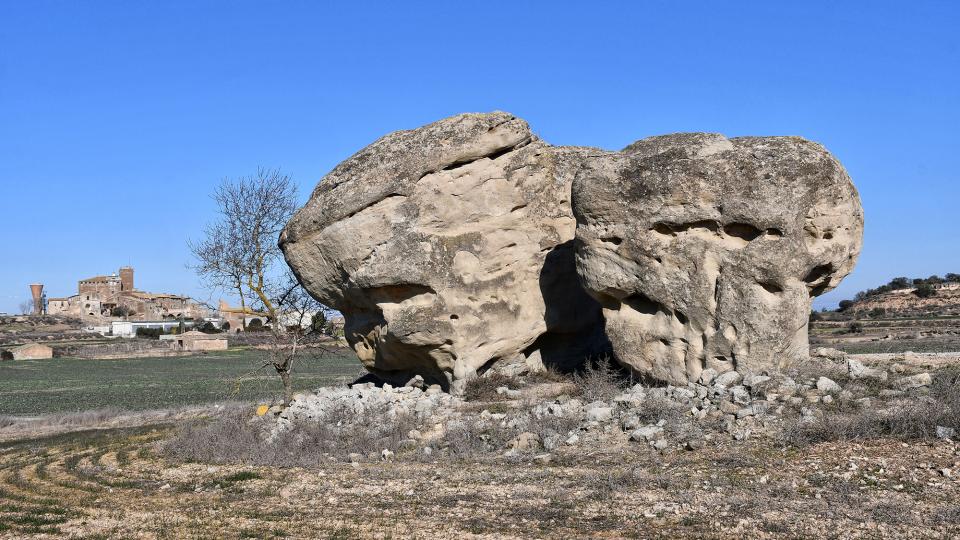 29.1.2023 Pallers de pedra  L'Aranyó -  Ramon Sunyer