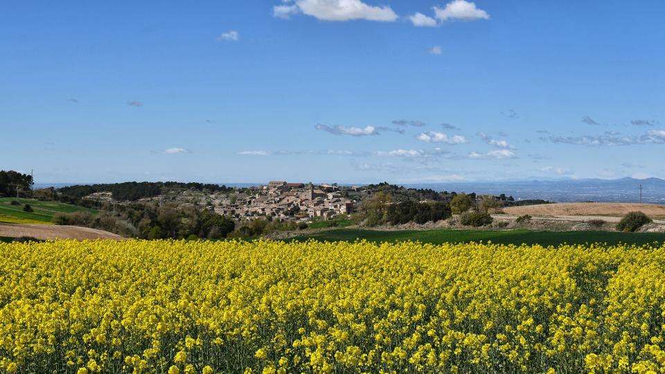 2.4.2023 vista del poble  Passanant -  Ramon Sunyer