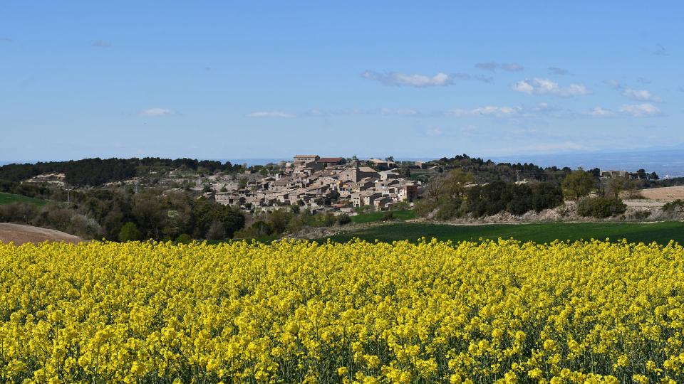 2.4.2023 vista del poble  Passanant -  Ramon Sunyer