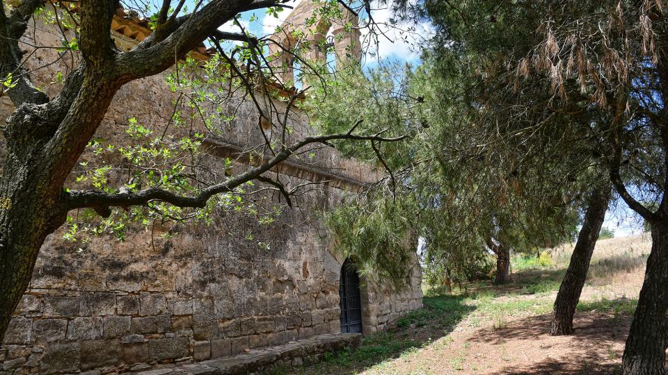 4.6.2023 Ermita de la Mare de Déu de Camp-real  Massoteres -  Ramon Sunyer