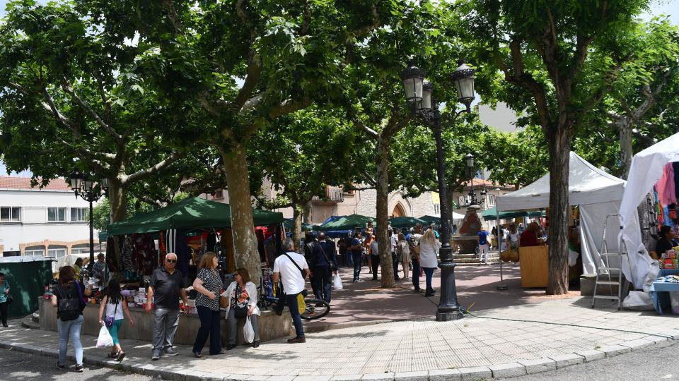 11.6.2023 Fira de l'Ou  Sant Guim de Freixenet -  Ramon Sunyer