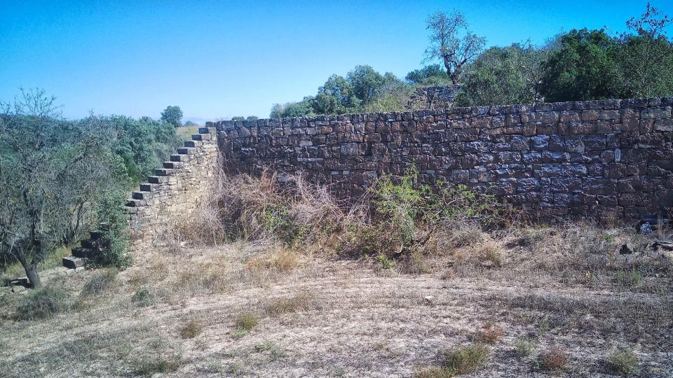 1.10.2023 Escales i marges de pedra seca  Selvanera -  Ramon Sunyer