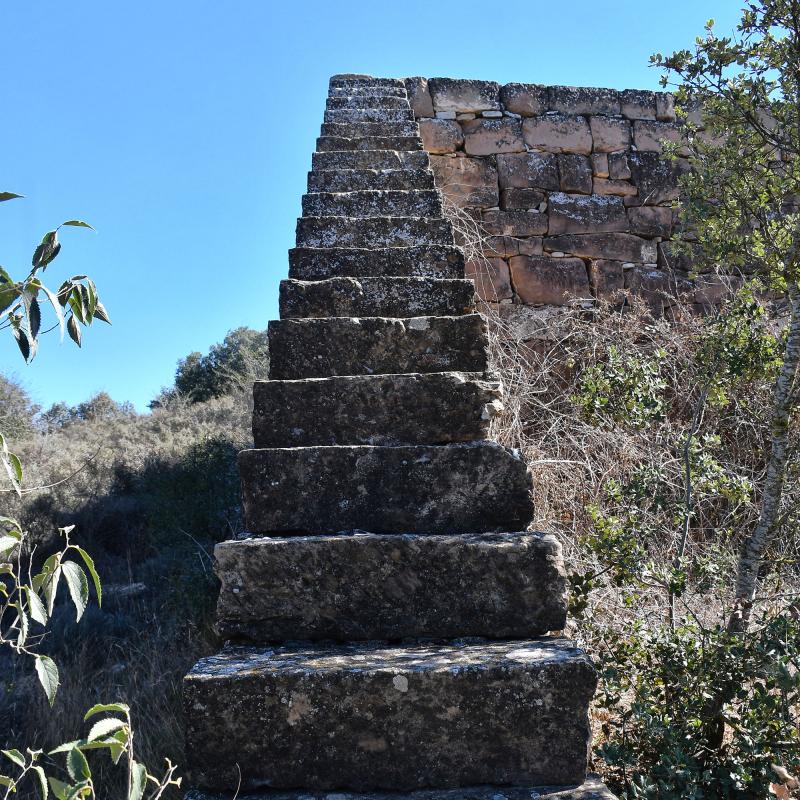 1 de Octubre de 2023 Escales i marges de pedra seca  Selvanera -  Ramon Sunyer