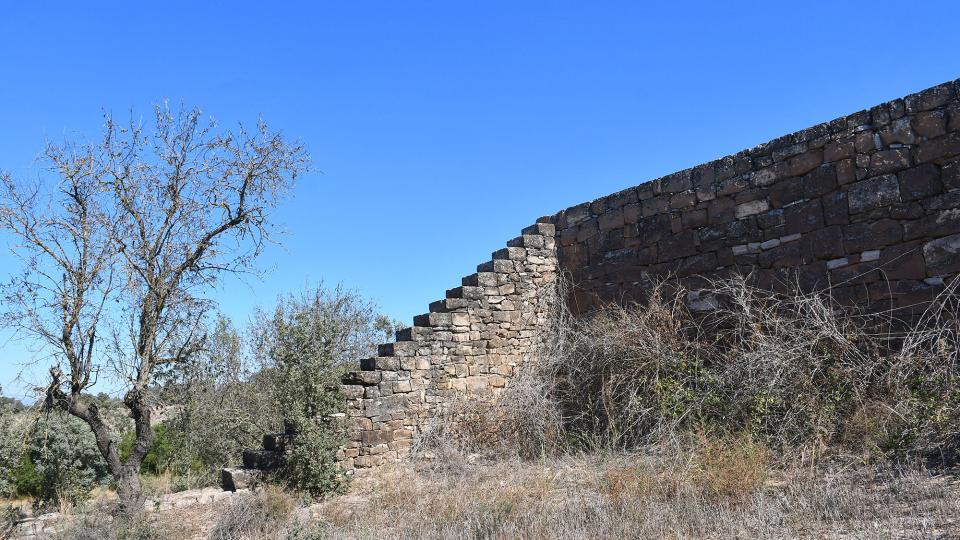 1 de Octubre de 2023 Escales i marges de pedra seca  Selvanera -  Ramon Sunyer