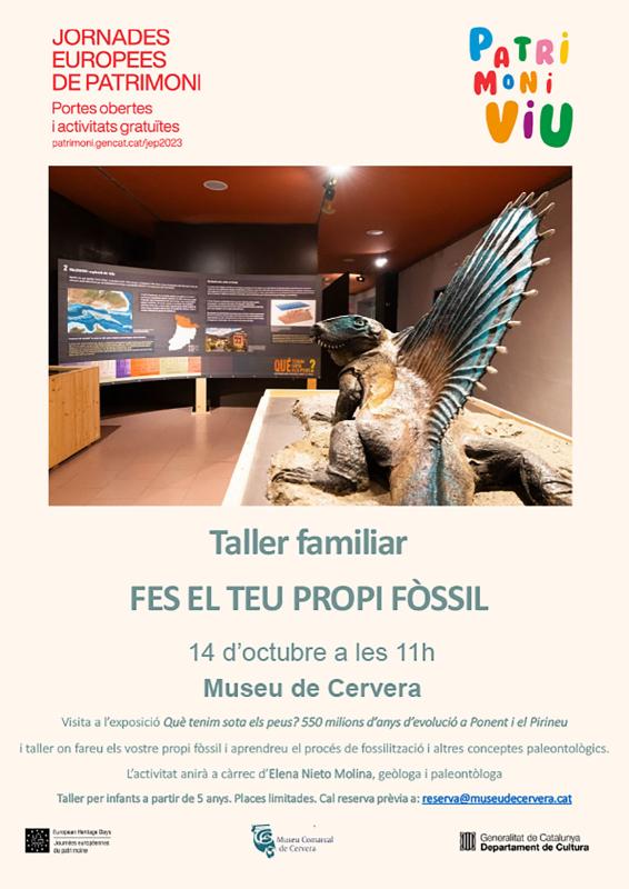 JEP Museu de Cervera -  JEP Museu de Cervera -