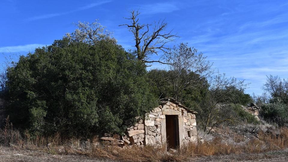 12.11.2023 Cabana del Teixidor als Empalous  Torà -  Ramon Sunyer