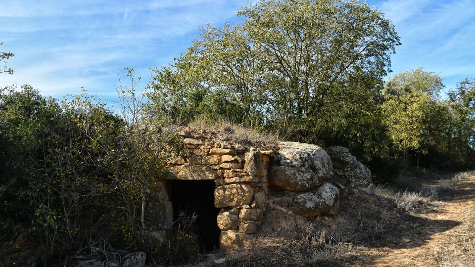 12.11.2023 Cabana del Vasall als Empalous  Torà -  Ramon Sunyer