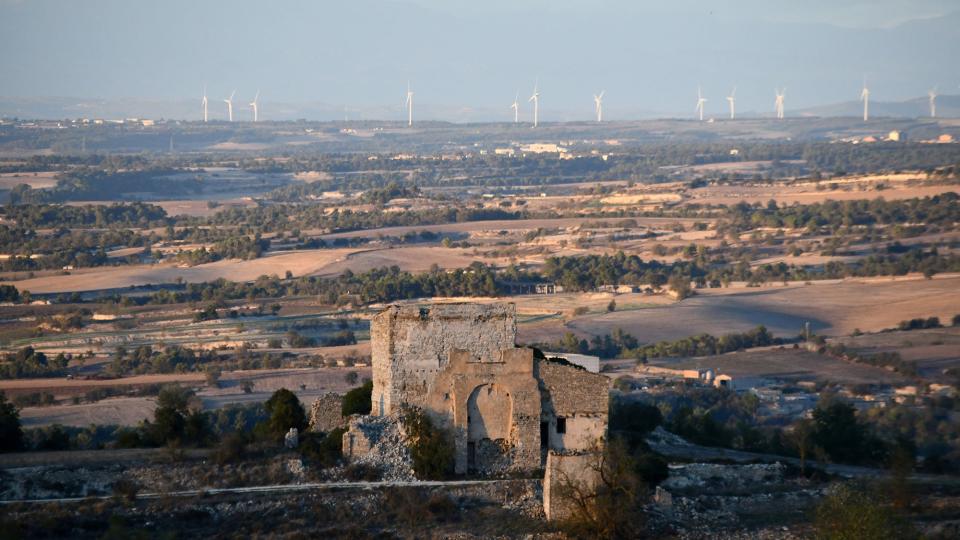 28.10.2023 Mas dels Capellans  Montargull -  Ramon Sunyer