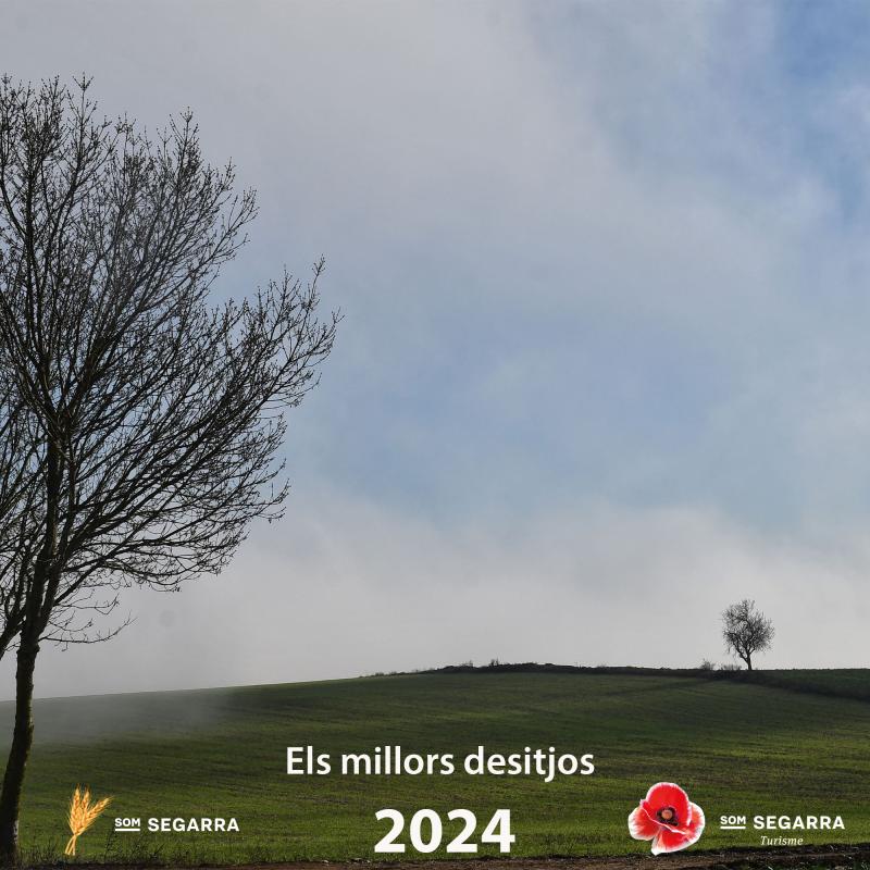  Fiesta Bon 2024