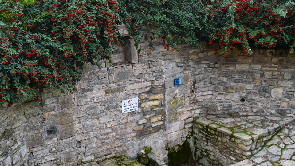 Font de la Mussa 14.1.2024 Font de la Mussa Montmaneu - Ramon Sunyer