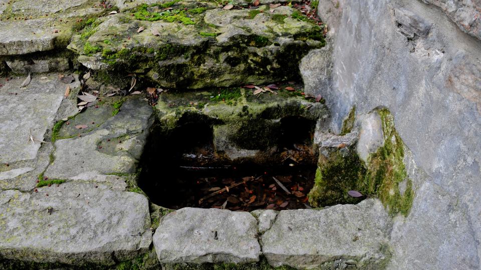 Font de la Mussa 14.1.2024 Font de la Mussa Montmaneu - Ramon Sunyer