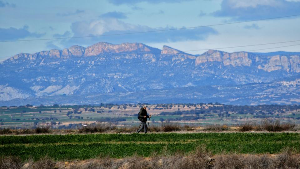 3 de Març de 2024   L'Aranyó -  Ramon Sunyer