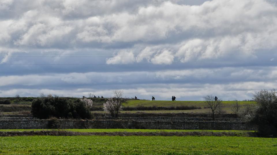 3 de Març de 2024   Montcortès de Segarra -  Ramon Sunyer