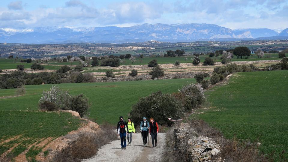 3 de Març de 2024   La Cardosa -  Ramon Sunyer