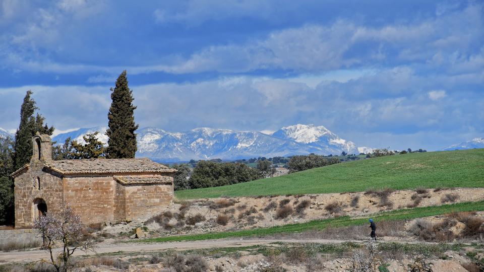 3 de Març de 2024   Castellmeià -  Ramon Sunyer